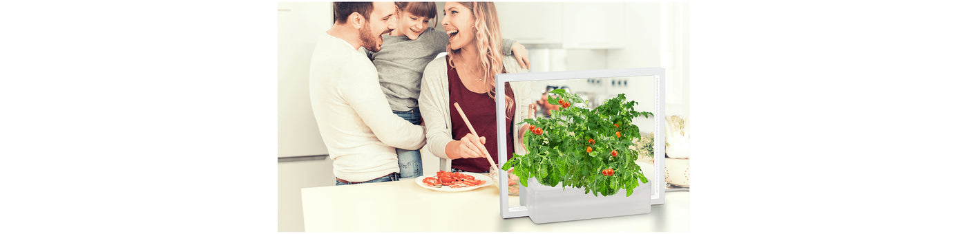 DECORATION FAMILY